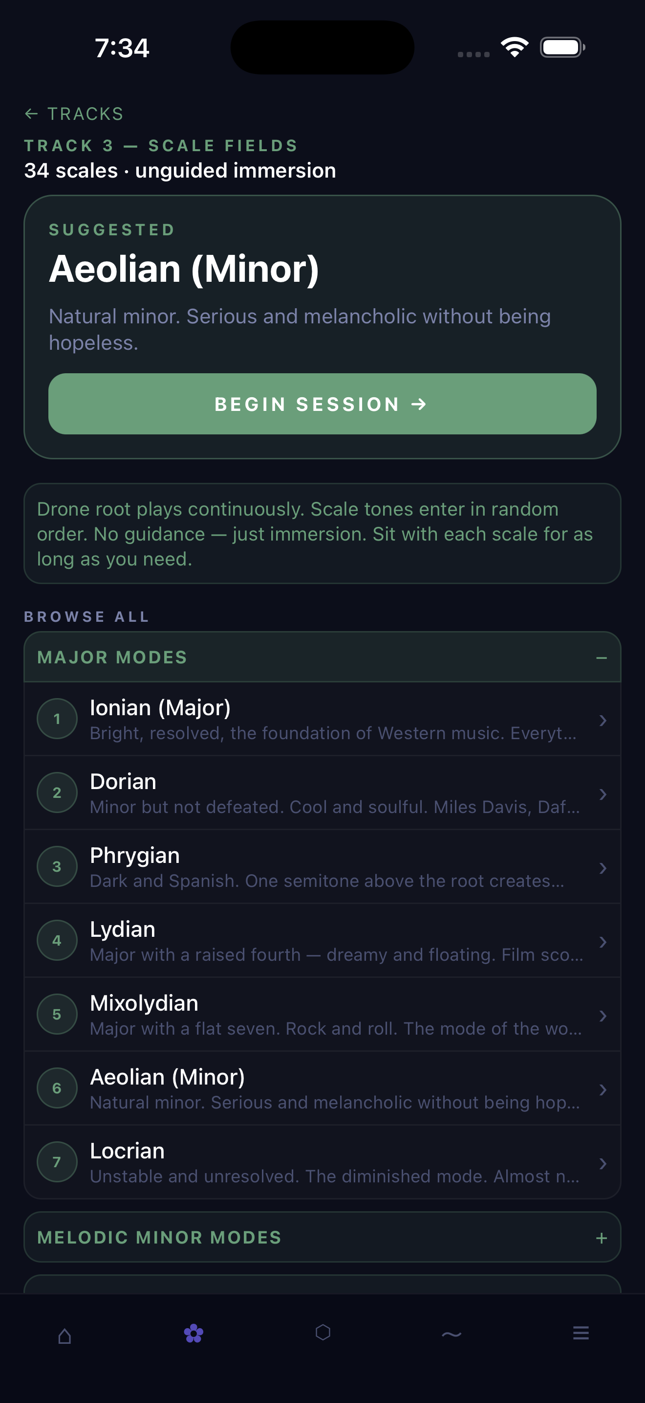Track 3 — Scale Fields